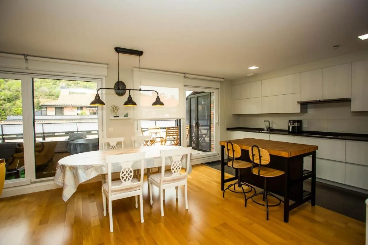 Apartment Atico Confort Orio Parking Incluido